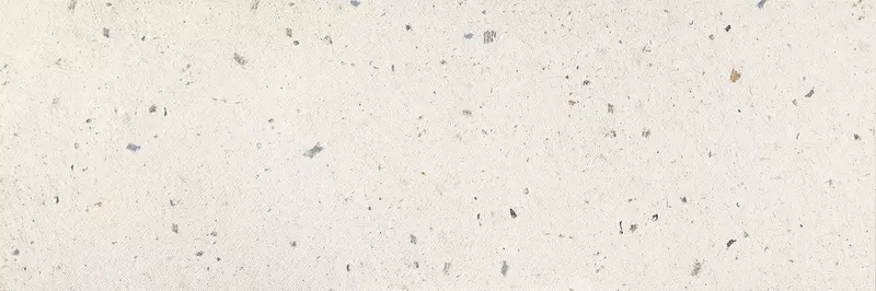 

Настенная плитка «APE» Re-use Matt. 120x40 reusewhite40x120 white