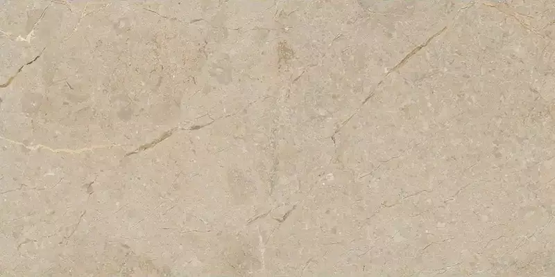 

Напольная плитка «Art&Natura Ceramica» Una Pietra Nordix Glossy 120x60 111.11S.1111 camel