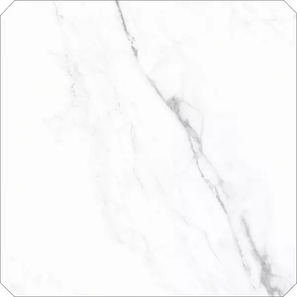 

Напольная плитка «Gayafores» Octogono Verona Matt. 40,8x40,8 200000000000014780 blanco