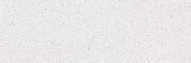 

Настенная плитка «Ibero Ceramicas» Botanical Natural Matt. 90x30 R0002308 бело-серый
