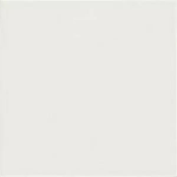 

Напольная плитка «Mainzu» Trinity Riga Matt. 20x20 PT02983 white