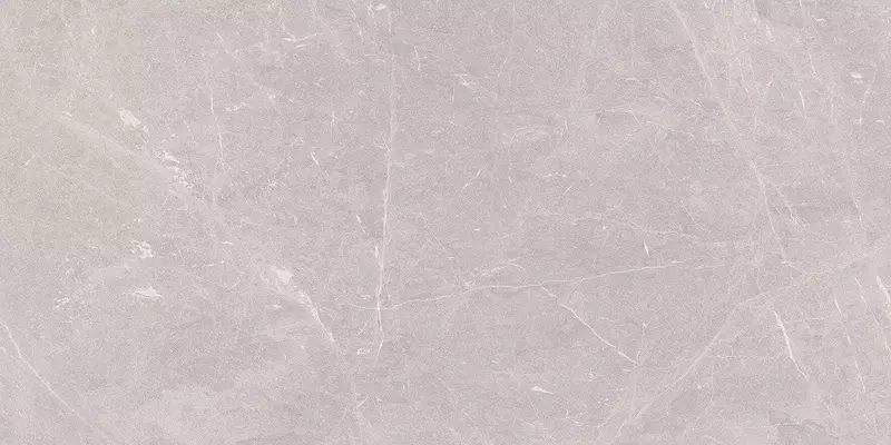 

Напольная плитка «Ceradim» Stone Sovereign Matt. 120x60 х9999304523 серый