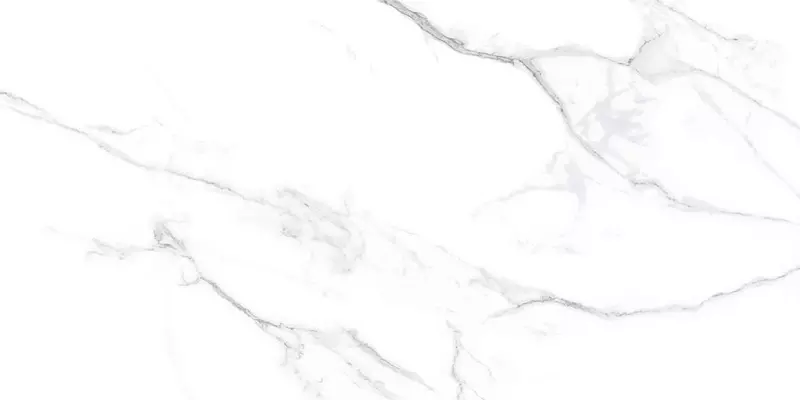 

Напольная плитка «Basconi Home» Statuario Matt. 120x60 BHW-0005 белый