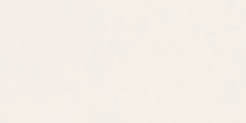 

Напольная плитка «Basconi Home» Plain Polish. 120x60 BHW-0027 beige
