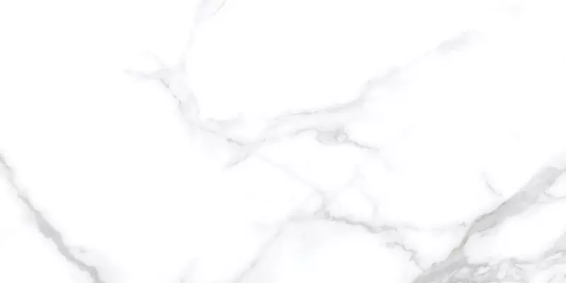 

Напольная плитка «Neodom» Splendida Statuario Chic Polish. 120x60 N20531 белый