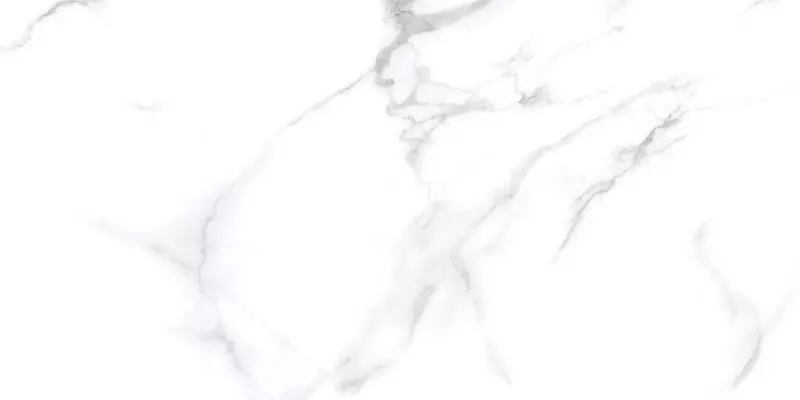 

Напольная плитка «Neodom» Splendida Statuario Chic Matt. 120x60 N20532 белый