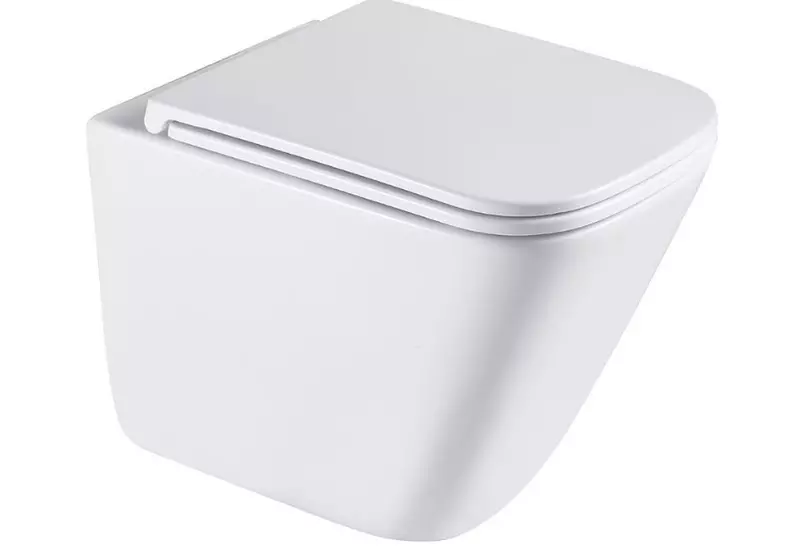 Подвесной унитаз безободковый Terminus Ватикан Monolit 03WM49x34W с сиденьем дюропласт с микролифтом 19789₽