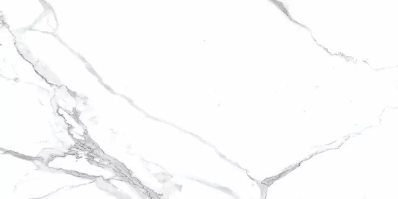 

Напольная плитка «Ceradim» Calacatta Splendid Matt. 120x60 х9999304481 silver