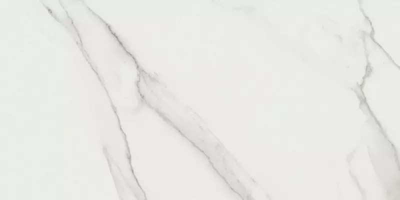

Напольная плитка «STN Ceramica» Lumiere Matt. 120x60 925971 white