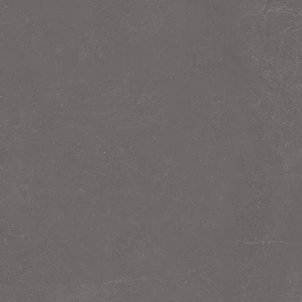 

Напольная плитка «Ceradim» Stone Notable Matt. 60x60 х9999304518 ash