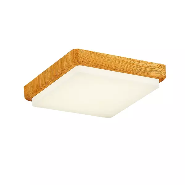 

SLE200202-01 Светильник потолочный Светло-коричневый/Белый LED 1*20W 4000K TADDIO · Taddio, Evoluce, SLE200202-01