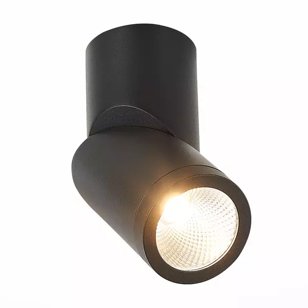 

ST650.432.10 Светильник потолочный Черный LED 1*10W 3000K 800Lm Ra>90 38° IP44 D62xH151 165-265V Накладные светильники · Накладные светильники, St Luce, ST650.432.10