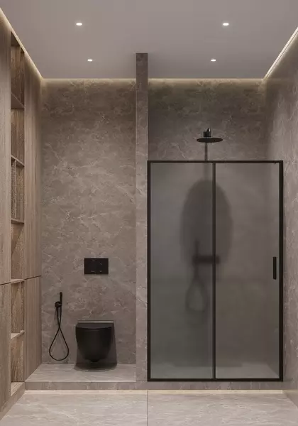 Душевая дверь Timo TD-12003F-6 120195 матоваячерный 32400₽