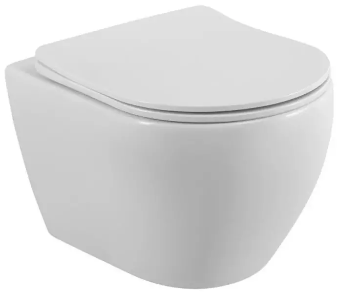Подвесной унитаз безободковый Cezares Stylus CZR-513-TH-RCZR-089-SC белый с сиденьем дюропласт с микролифтом белое 15280₽