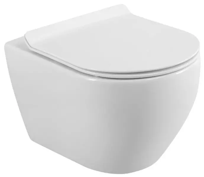 Подвесной унитаз безободковый Cezares Stylus CZR-513-TH-RCZR-076-SC белый с сиденьем дюропласт с микролифтом белое 15000₽