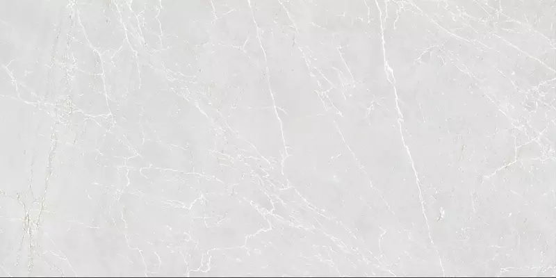 Напольная плитка «Duna» Eternal Matt. 120x60 carving 00-00864616 blanco