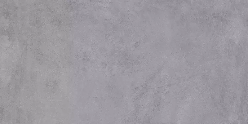 Напольная плитка Eurotile Ceramica Loft 830 Matt 120x60 01-00118536 серый 2500₽