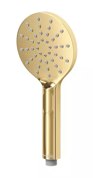 Ручная лейка «WasserKRAFT» A348 золото