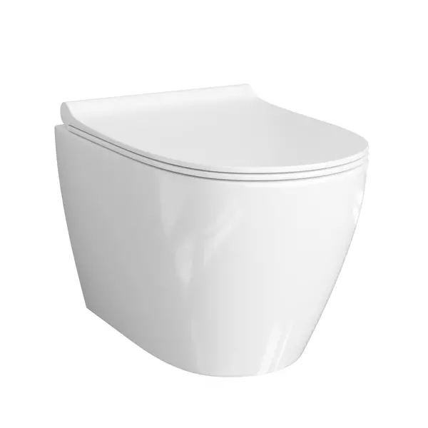 Подвесной унитаз безободковый WasserKRAFT Mindel H002E034 белый с сиденьем дюропласт с микролифтом белое 22350₽