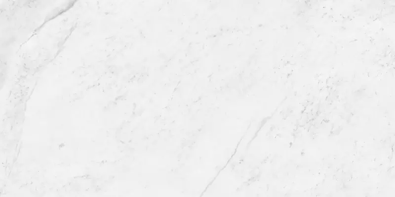 Напольная плитка «Neodom» Classic Marble Carrara Antique Polish. 120x60 N12033 белый