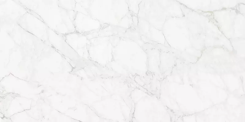 Напольная плитка Neodom Classic Marble Carrara Giaola Polish 120x60 N12045 белый 2790₽