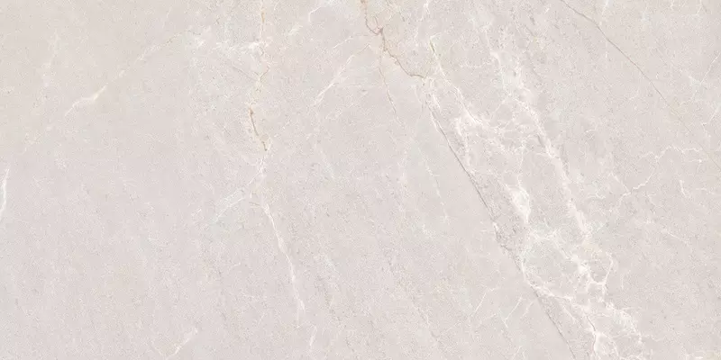 Напольная плитка Neodom Concept Persian Matt 120x60 N20552 grey 2200₽