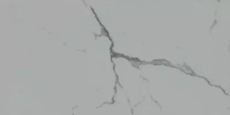 SPC-плитка LQuarzo Estetico MT Destello 60х30 Le2032 42 класс белый 2230₽