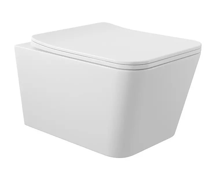 Подвесной унитаз безободковый Aqueduto MACT2110 белый глянцевый с сиденьем дюропласт с микролифтом белое 18900₽