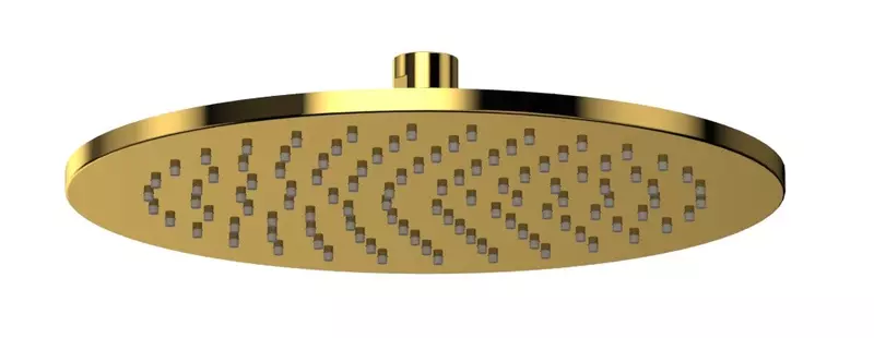 Верхний душ Whitecross Y Y1301GL золото 11980₽
