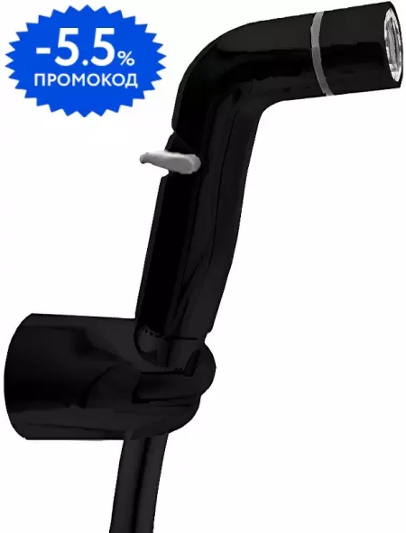

Гигиенический гарнитур «E.C.A.» 402111045C1EX чёрный матовый