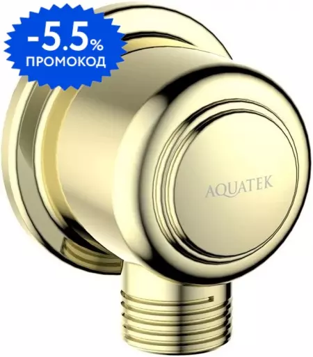 

Подключение для душевого шланга «Aquatek» Классик AQ2461PG полированное золото