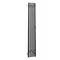 Полотенцесушитель электрический APEXTERMO Дельта DL10123GF 1200x180 с крючками, графит металлик, картинка №2 Полотенцесушитель электрический APEXTERMO Дельта DL10123GF 1200x180 с крючками, графит металлик, картинка №2