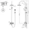 Душевая система «Bravat» Art F65193CP-A2-RUS хром, картинка №2