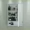 Зеркальный шкаф «СанТа» Вегас 60 без света белый, картинка №2