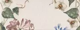 Настенное панно «Kerama Marazzi» Зимний сад (комплет из 4 шт.) 60x40 HGD\A352\4x\15061 флора, картинка №2