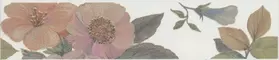 Настенный бордюр «Kerama Marazzi» Ломбардиа 25x5,4 VT\A163\6397 цветы белый, фото №1