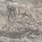 Напольная плитка «Azteca» Nebula 60 Matt. 60x60 78799413 grey , картинка №6