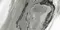 Напольная плитка «Ceracasa» Manhattan Gloss 98,2x49,1 78797874 чёрно-белый, фотография №7