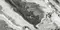 Напольная плитка «Ceracasa» Manhattan Gloss 98,2x49,1 78797874 чёрно-белый, изображение №8