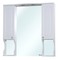 Зеркальный шкаф «Bellezza» Камелия 105 с подсветкой белый, фото №1