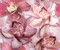 Porto Flowers "Orchid lila" Панно 50x60 (2пл) · Porto Flowers, Cerrol, фото №1
