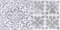 Настенный декор «LB-CERAMICS» Кампанилья 2 Matt. 40x20 1641-0094 серый, фото №1