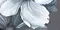 Настенное панно «Azori» Devore Matt. (комплект из 6 шт.) 126x94,5 587192001 floris, изображение №4
