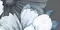 Настенное панно «Azori» Devore Matt. (комплект из 6 шт.) 126x94,5 587192001 floris, картинка №6