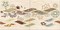 Триоль Панно "Ариозо" 40,2х81 (комплект из 4-х пл.), 583572001 · Триоль, Azori, 583572001, фото №1