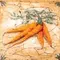 Настенный декор «Сокол» Гурман Морковь Glossy 16,5x16,5 D-496 мультиколор, фото №1
