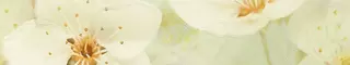 Настенный бордюр «Шахтинская плитка» Сакура 40x7,5 010212001784 зеленый, фото №1