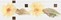CUBA GERBERA бордюр жёлтый YL 9,6х29,5, 13689687 · CUBA, Атем, 13689687, фото №1