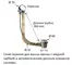 Сифон для ванны слив-перелив «Remer» 96 хром полуавтомат, картинка №2