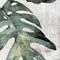 Настенная плитка «ZYX» Amazonia Tropic Matt. 13,8x13,8 220960 emerald, фото №1